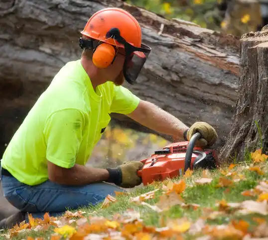 tree services Doe Run